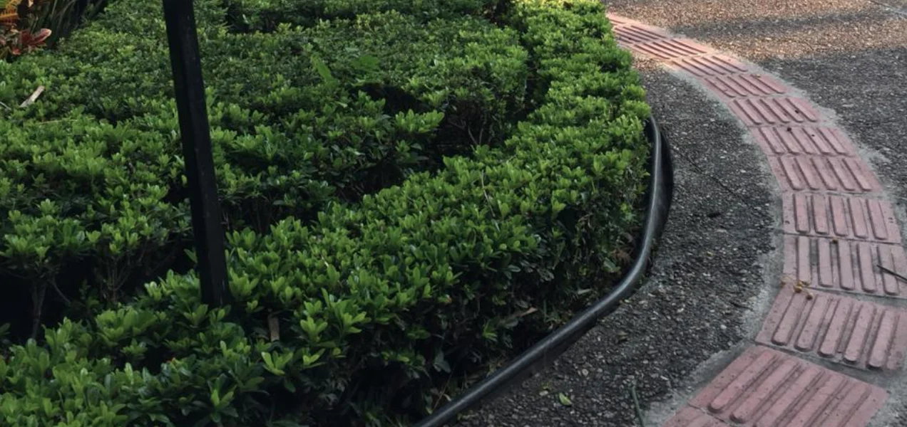 Piso podotáctil Parque Alameda Queretaro